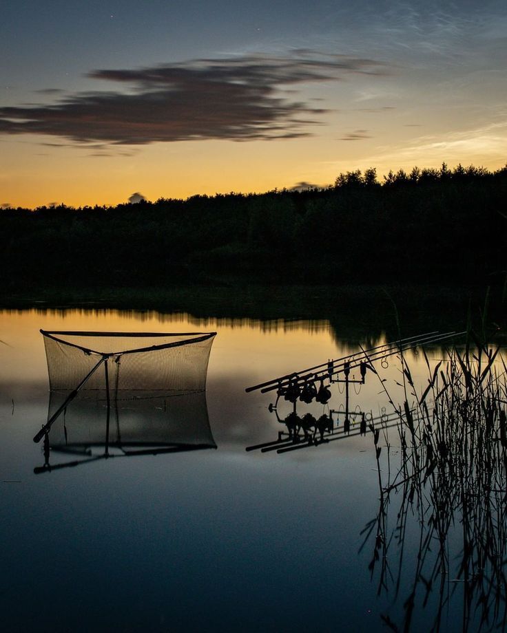 Basildon Angling Centre | Fishing Tackle Shop